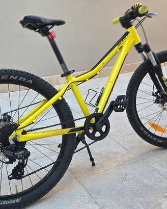 Bicicletta junior Scott Scale 24''