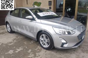 Ford Focus 1.5 EcoBlue 120 CV 5p. Business