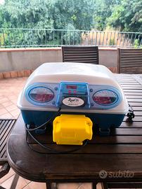 incubatrice borotto real 24 