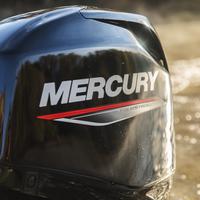 Mercury f40 pro promo fino al 30 novembre
