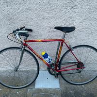 Bicicletta uomo