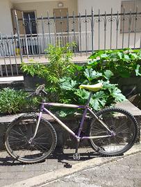 bicicletta