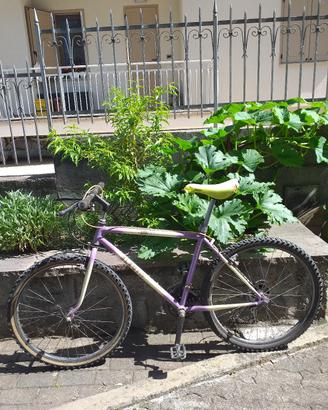 bicicletta