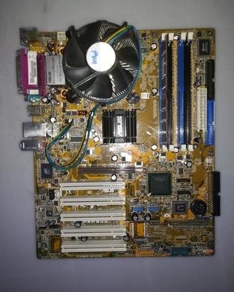 s/madre Asus p5p800 pentium4 completa più s/video 