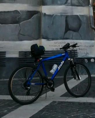 Atala in alluminio,perfetta.