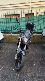 Benelli BN 125 - 2022