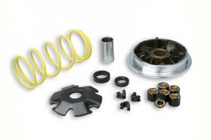 Variatore Malossi 5111154 per Piaggio 125 Habana M