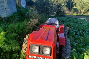 Trattore Bertolini 431 compreso di Fresatrice