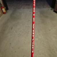 Canna da pesca trout area