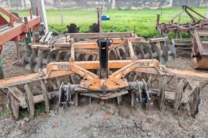 Dischera frangizzolle