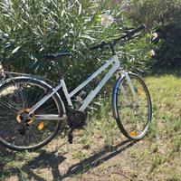 Bici da passeggio donna ruote alte, 21 velocità. 