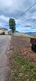 Terreno edificabile Levizzano di Baiso