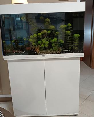 Acquario juwel