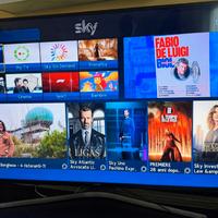 Samsung TV 55 pollici LED