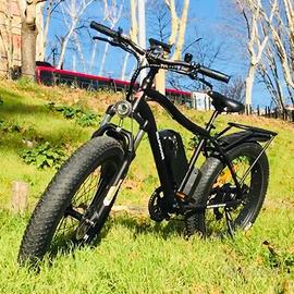 Bici elettrica fat bike