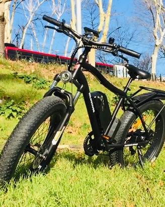 Bici elettrica fat bike