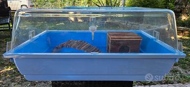 Gabbia roditori con casetta, ponticello e beverino