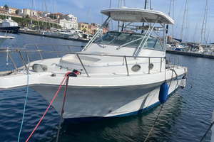 Barca americana 10 mt pro line