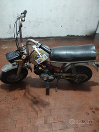 Benelli mini bike