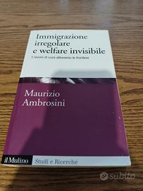 Immigrazione irregolare e walfare invisibile 