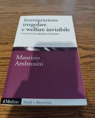 Immigrazione irregolare e walfare invisibile 