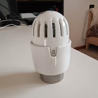 Testa termostatica tl30 rbm