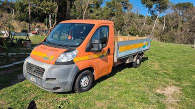 Fiat Ducato 30 3.0 MJT PC Cabinato anno 2008
