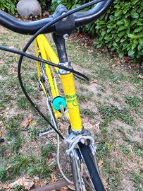 bicicletta uomo