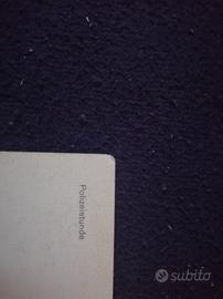 Antica cartolina altoatesina