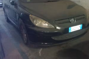 Peugeot 307 sw