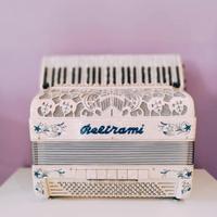 FISARMONICA DA CONCERTO Beltrami CONVERTER 47/120