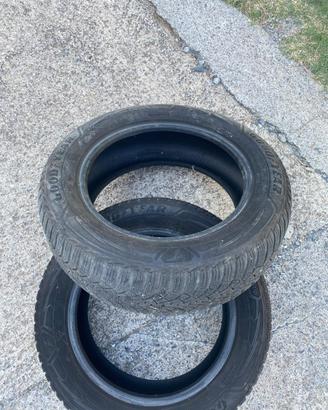 2 gomme invernali