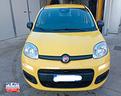 fiat-panda-pandina-1-0-firefly-s-s-hybrid-icon