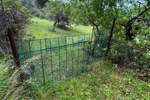 Terreno edificabile contrada pedagni, castelbuono
