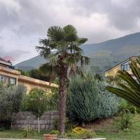 Villa singola - Solopaca
