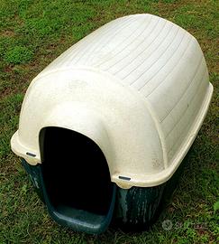 Cuccia cane