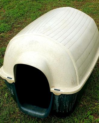 Cuccia cane