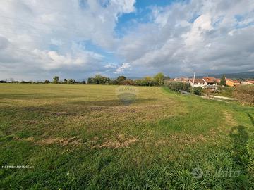 Agricolo9