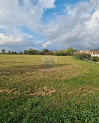 Agricolo9