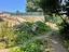 Immagine 18