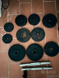 Dischi palestra