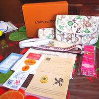 LOUIS VUITTON Borsa DIANE + accessori
