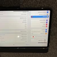 iPad Pro 11 256gb