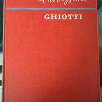 Dizionario Ghiotti Francese Italiano