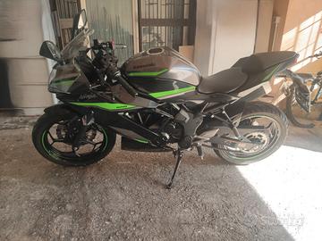 KAWASAKI 125 NINJA  2024