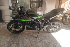 KAWASAKI 125 NINJA  2024
