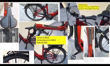 Pegasus Premio EVO 10 Lite Wave -
 E-Trekkingbike
