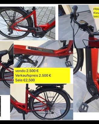 Pegasus Premio EVO 10 Lite Wave -
 E-Trekkingbike