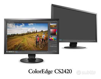 EIZO CS2420