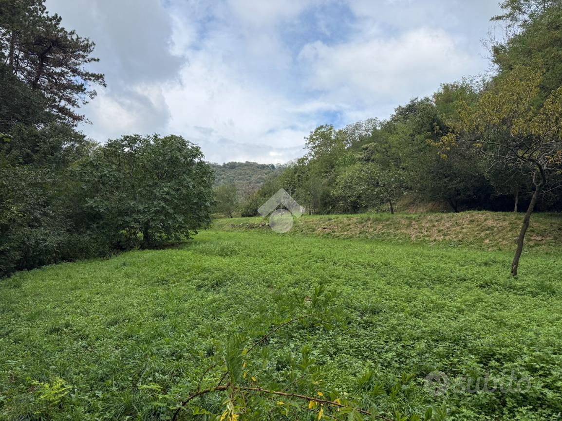 TER. AGRICOLO A PROVAGLIO D'ISEO - Vista 4